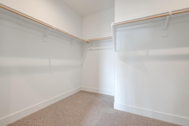 spacious closet featuring carpet flooring