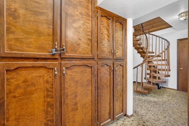 interior details featuring a textured ceiling and carpet