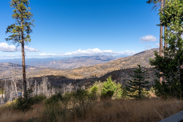 view of mountain feature