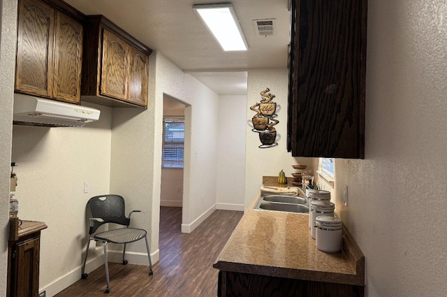 interior space with sink, dark brown cabinets, and dark hardwood / wood-style floors