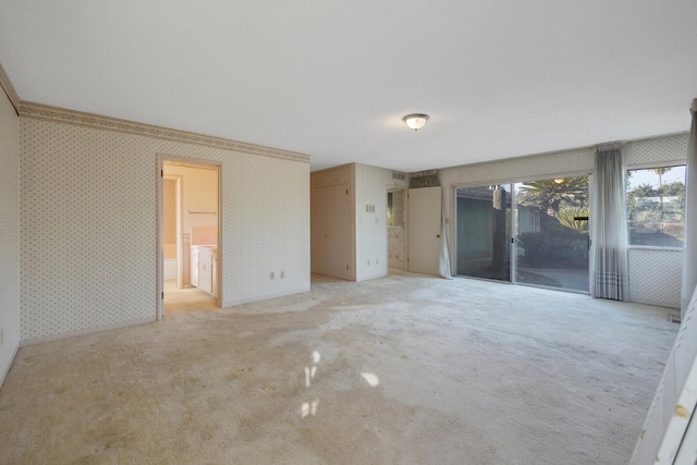 interior space with ornamental molding and light colored carpet