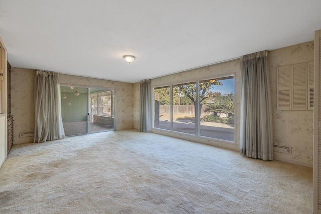 spare room featuring light carpet