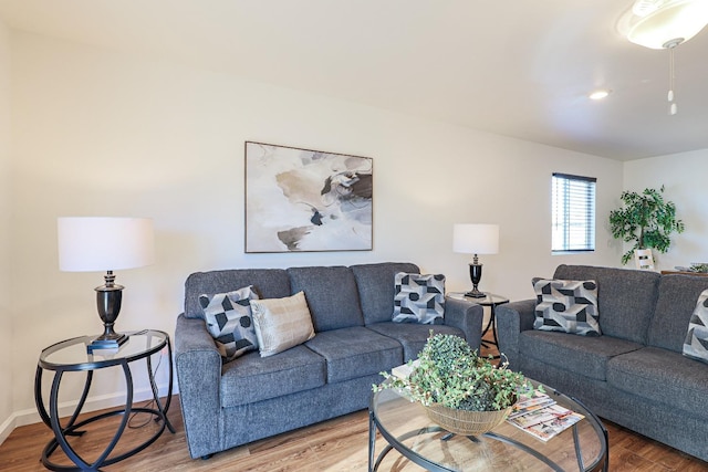 living room with wood-type flooring