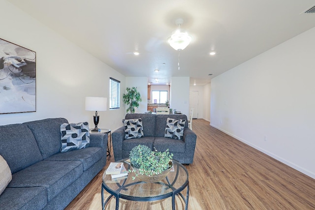 living room with hardwood / wood-style floors