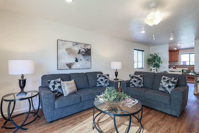 living room featuring hardwood / wood-style flooring