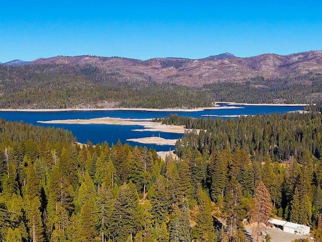 41816 N Dogwood Rd, Shaver Lake, CA 93664 - water view with a heavily wooded area and a mountainous background