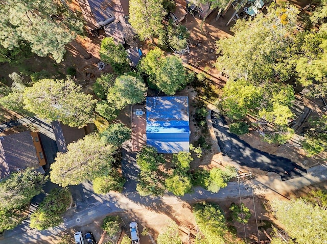 41816 N Dogwood Rd, Shaver Lake, CA 93664 - aerial view of property's location