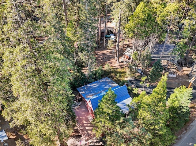 41816 N Dogwood Rd, Shaver Lake, CA 93664 - aerial view of property and surrounding area