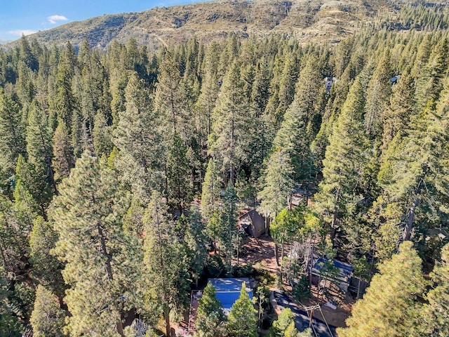 birds eye view of property featuring a mountain view