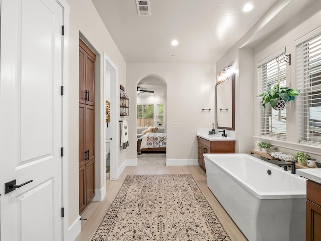 bathroom featuring ceiling fan, plenty of natural light, vanity, and a washtub