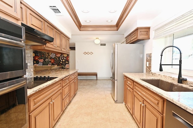 kitchen featuring decorative backsplash, a tray ceiling, stainless steel appliances, crown molding, and a sink