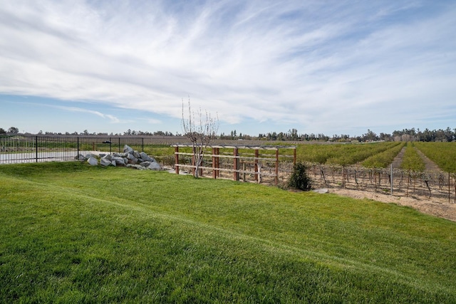 view of yard with a rural view