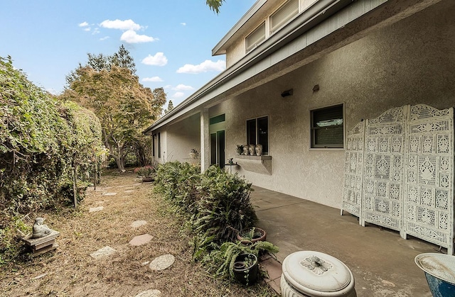 view of yard featuring a patio