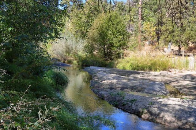 view of local wilderness