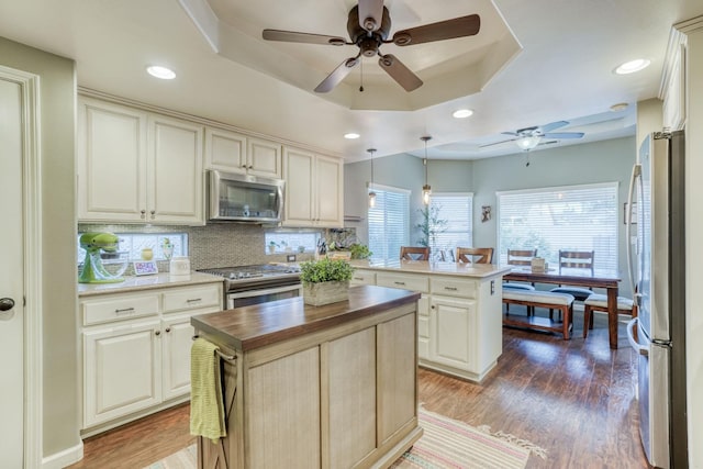 kitchen with stainless steel appliances, hanging light fixtures, hardwood / wood-style flooring, a tray ceiling, and a center island