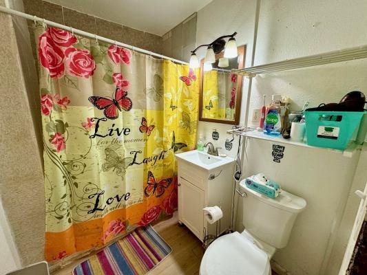 bathroom featuring hardwood / wood-style floors, curtained shower, vanity, and toilet