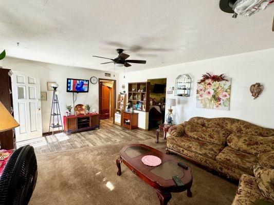 living room featuring carpet, a textured ceiling, and ceiling fan