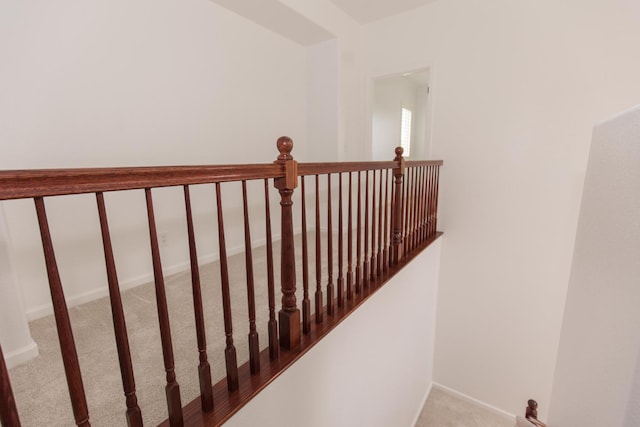 staircase featuring carpet floors