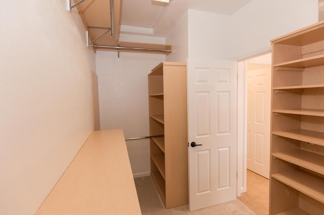 spacious closet with light colored carpet