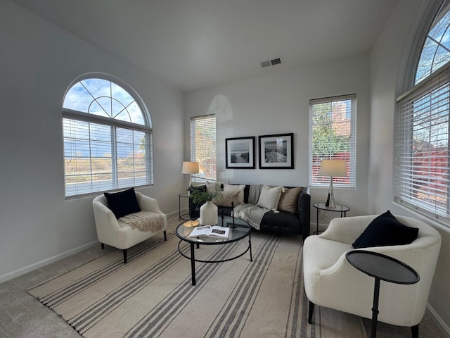 living room with carpet flooring