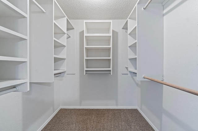 walk in closet featuring carpet flooring