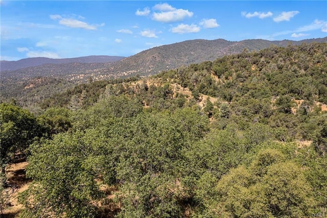 17 Sneezeweed Ln, North Fork, CA 93643 - photo 29
