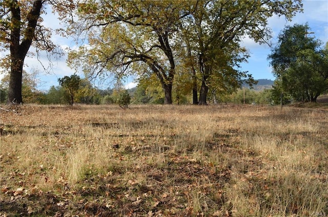 Listing photo 3 for 17 Sneezeweed Ln, North Fork CA 93643