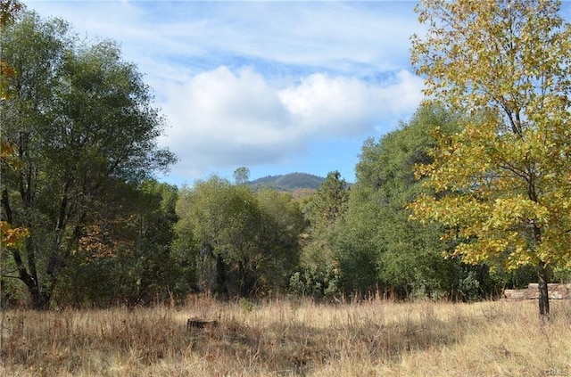 17 Sneezeweed Ln, North Fork, CA 93643 - photo 15