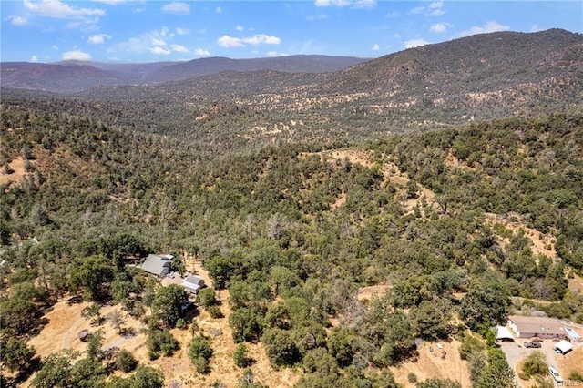 17 Sneezeweed Ln, North Fork, CA 93643 - photo 38