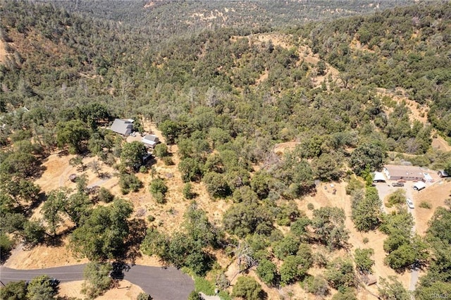 17 Sneezeweed Ln, North Fork, CA 93643 - photo 36