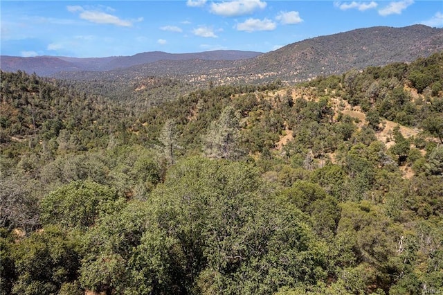 17 Sneezeweed Ln, North Fork, CA 93643 - photo 30