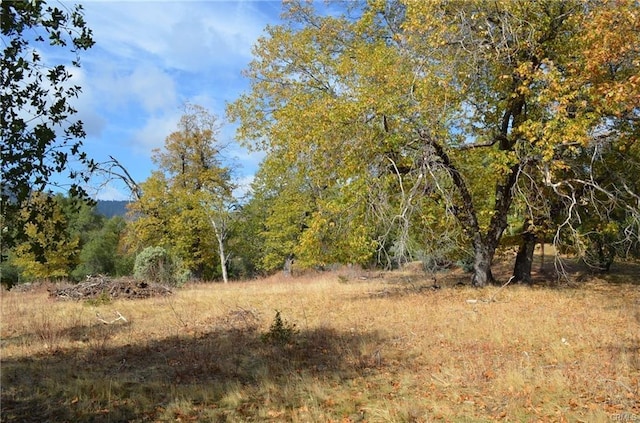 17 Sneezeweed Ln, North Fork, CA 93643 - photo 19