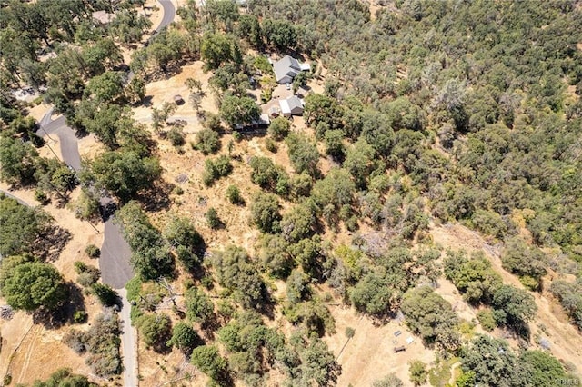 17 Sneezeweed Ln, North Fork, CA 93643 - photo 34