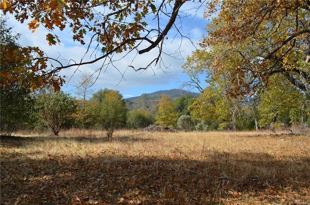 17 Sneezeweed Ln, North Fork CA, 93643 land for sale