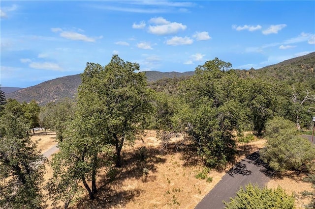 17 Sneezeweed Ln, North Fork, CA 93643 - photo 41