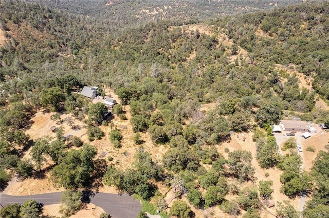 17 Sneezeweed Ln, North Fork, CA 93643 - photo 37