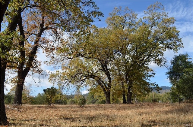 Listing photo 2 for 17 Sneezeweed Ln, North Fork CA 93643