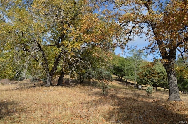 17 Sneezeweed Ln, North Fork, CA 93643 - photo 18