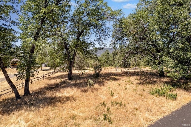 17 Sneezeweed Ln, North Fork, CA 93643 - photo 39