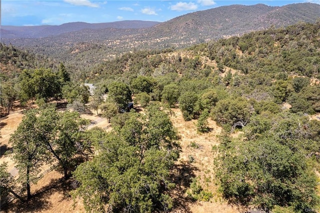17 Sneezeweed Ln, North Fork, CA 93643 - photo 33