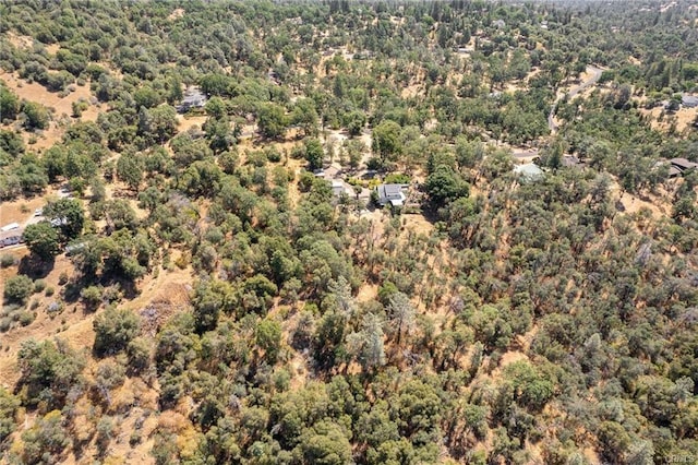 17 Sneezeweed Ln, North Fork, CA 93643 - photo 31