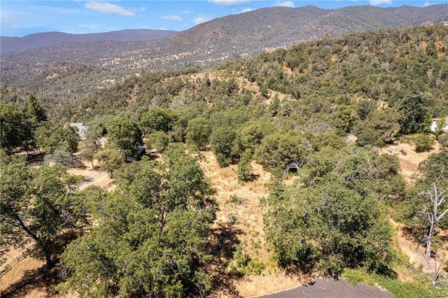 17 Sneezeweed Ln, North Fork, CA 93643 - photo 32