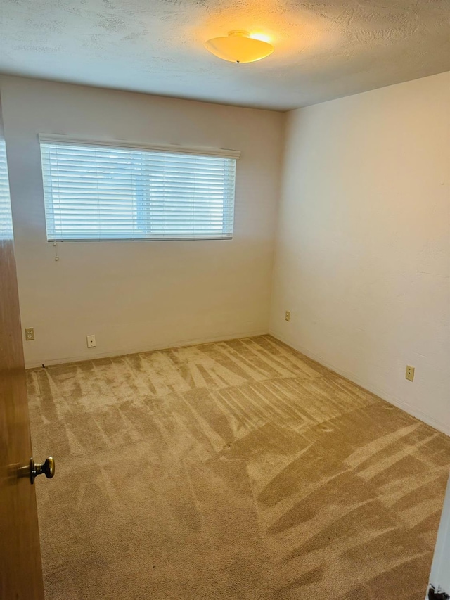 spare room featuring a textured ceiling, carpet flooring, and a healthy amount of sunlight