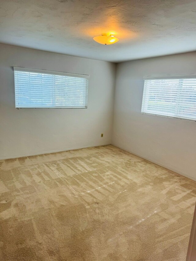 carpeted spare room with a textured ceiling