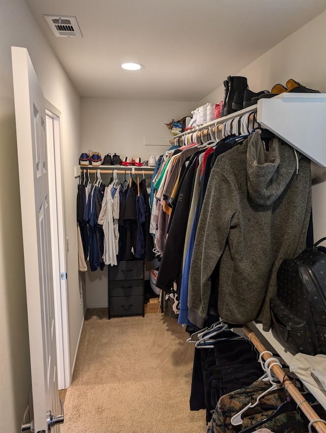 spacious closet with light colored carpet