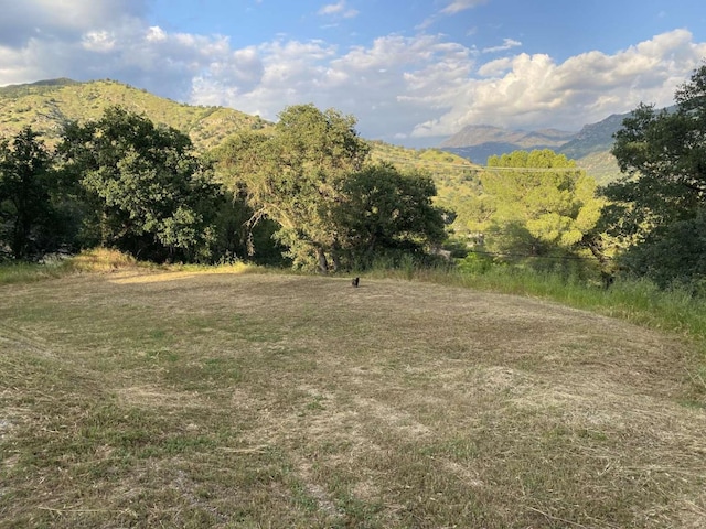 43545 Kaweah River Dr, Three Rivers, CA 93271 - photo 36