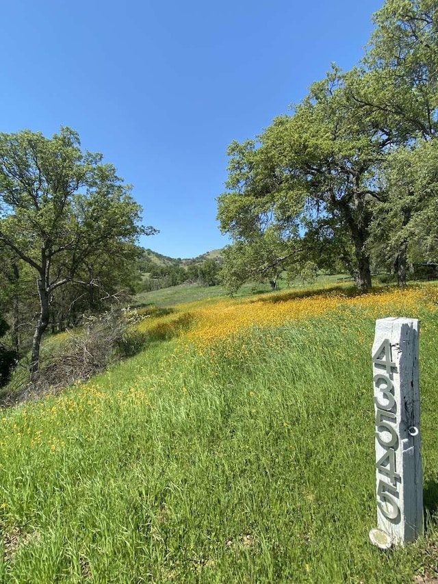 43545 Kaweah River Dr, Three Rivers, CA 93271 - photo 5