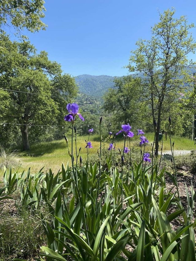 43545 Kaweah River Dr, Three Rivers, CA 93271 - photo 37