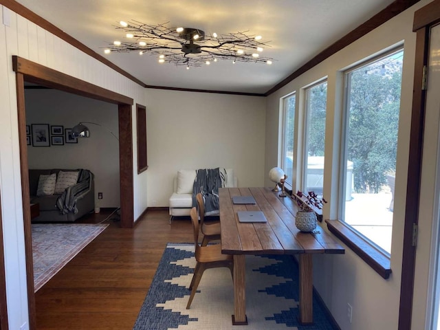 dining area featuring crown molding and dark hardwood / wood-style flooring