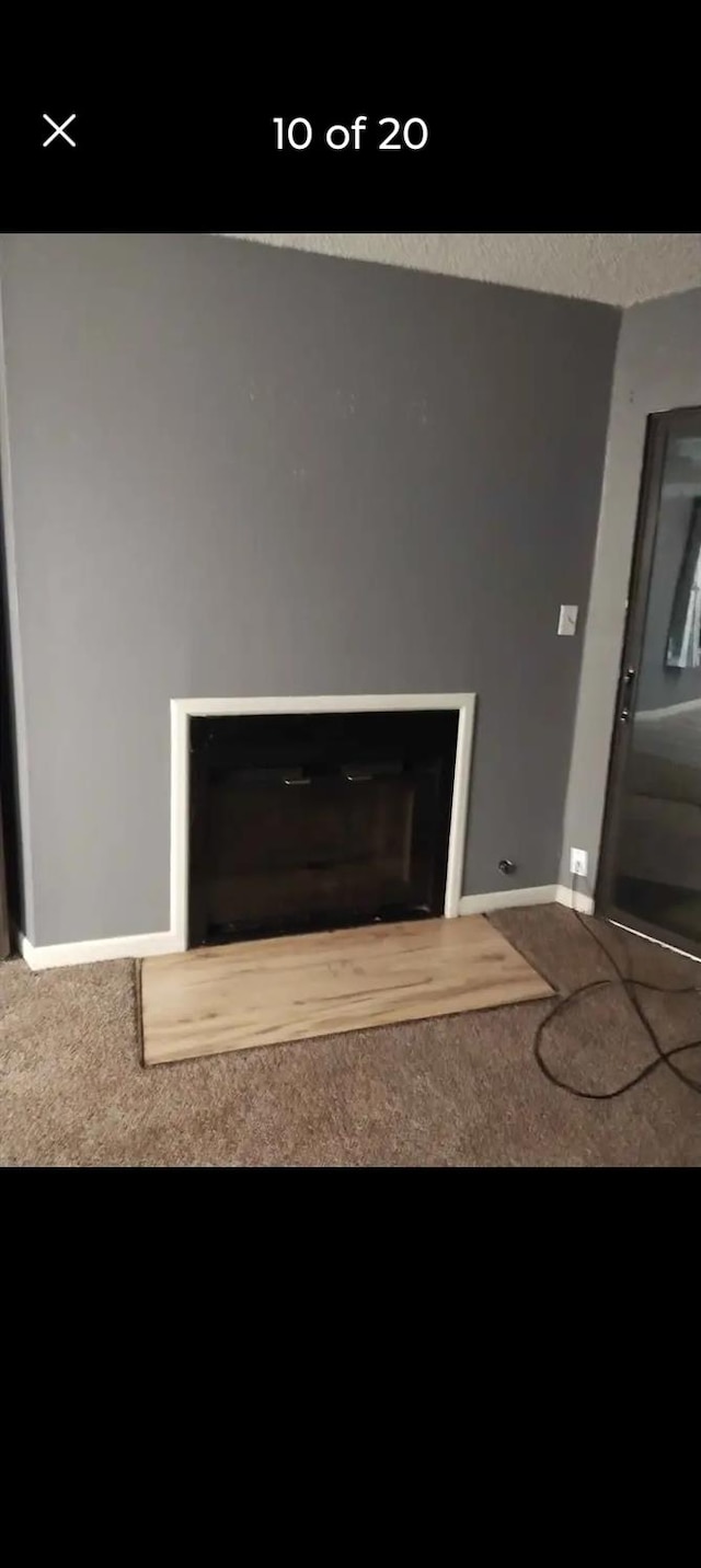 room details with a fireplace and carpet floors